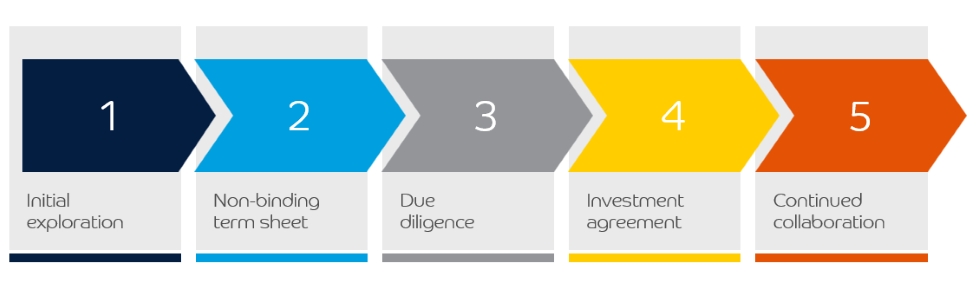 Investment-process-actual